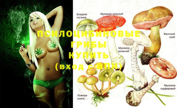 не бодяженный Касимов