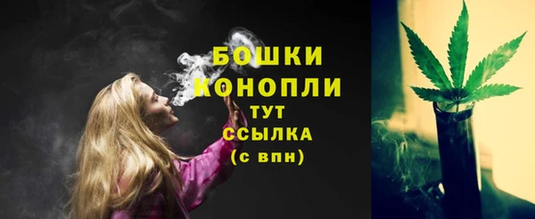 ГАЛЛЮЦИНОГЕННЫЕ ГРИБЫ Киренск