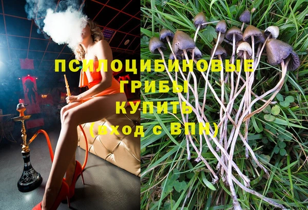 не бодяженный Касимов