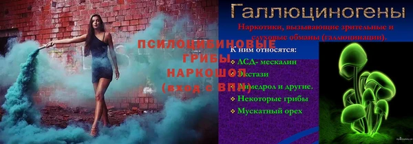 ГАЛЛЮЦИНОГЕННЫЕ ГРИБЫ Киренск