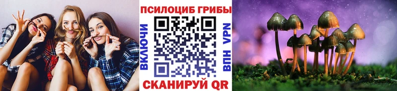 что такое наркотик  Пикалёво  Галлюциногенные грибы мицелий 